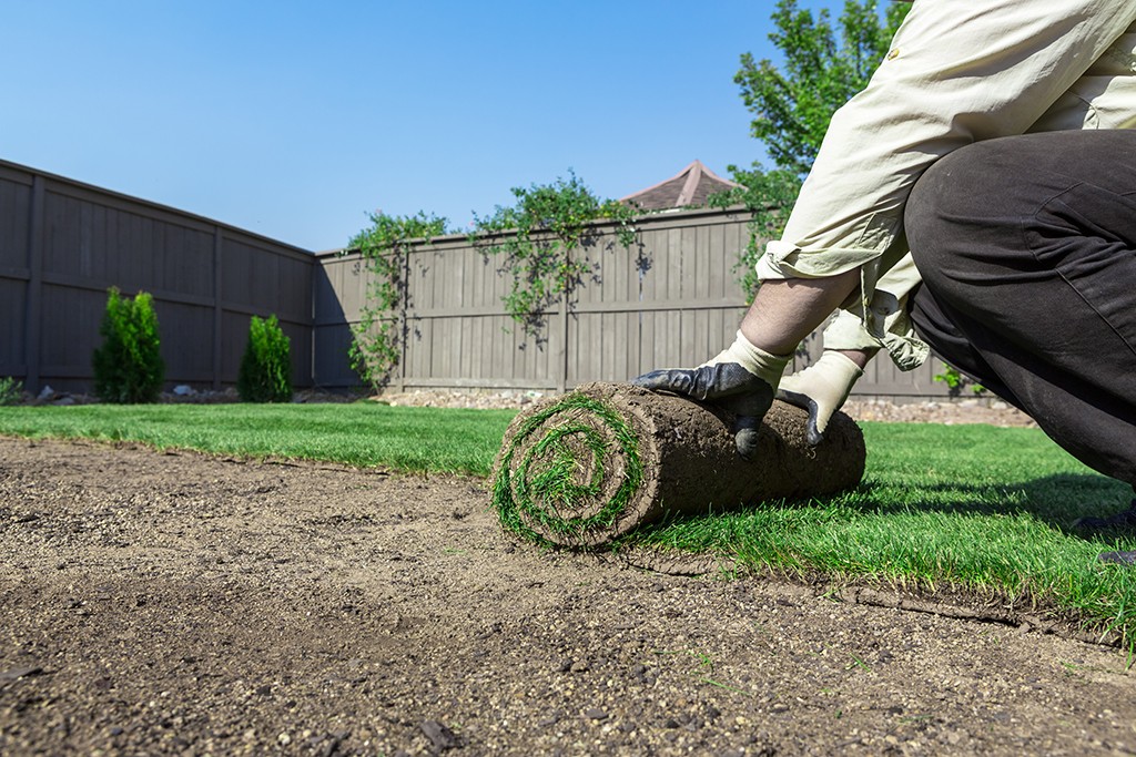 Installing new lawn