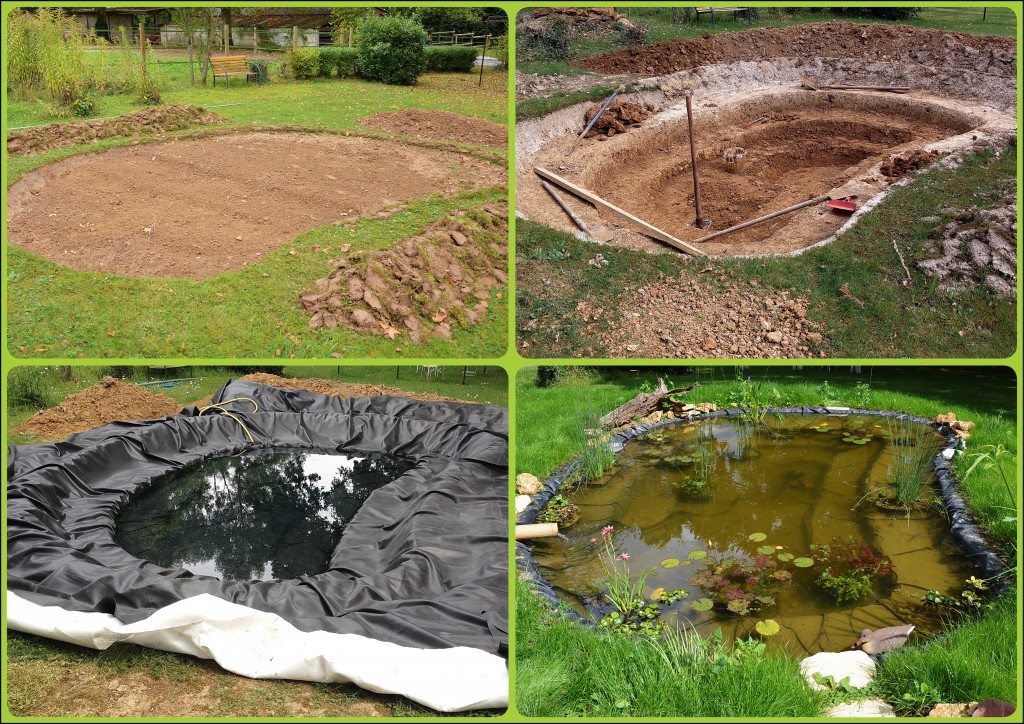 Construire un Étang ou Bassin Extérieur au Jardin Aquatique